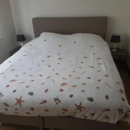 Gelijkvloers * Ostende